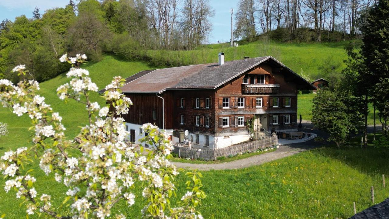 Bergoase Hohenegg Lingenau